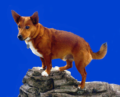 index004001.jpg